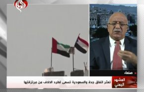 قيادي يمني: اليمن لن يُقسَم + فيديو