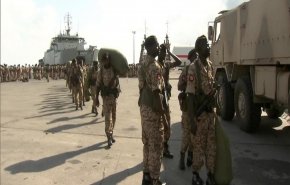 أسر مجموعة من المرتزقة السودانيين في جبهة حيران