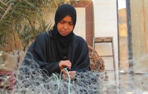 شاهد.. الحاجة 