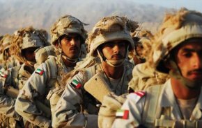 ابن زايد رفع الراية البيضاء.. الإمارات تترك السعودية لمصيرها