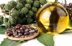 تعرف على 7 فوائد طبية لزيت الخروع