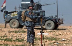 الشرطة الاتحادية تضبط وكرين لـ