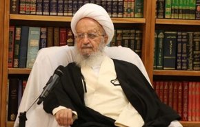 آية الله مكارم شيرازي: التكفيريون سبب تأجيج النيران في المنطقة