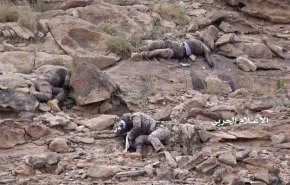 قتلى السودان باليمن لابواكي لهم