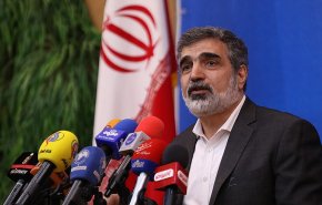 كمالوندي: وصول 38 طنا من الوقود النووي إلی محطة بوشهر 