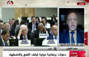 الشهابي: الوضع الحقوقي الدولي خرج عن الطريق السليم وهو في ازمة + فيديو