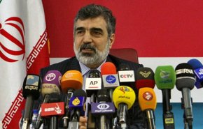 كمالوندي يكشف تفاصيل خطوات ايران تجاه تقاعس الغرب
