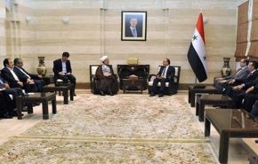 ذو النور: ايران تواصل دعمها لسوريا في مواجهة الإرهاب