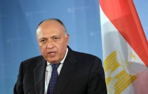 مصر تعلق على عمل اللجنة الدستورية السورية
