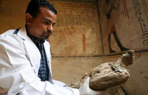 مصر.. علماء يحلون لغز الطيور المحنطة في مقابر الفراعنة

