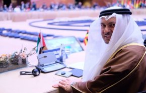  الإمارات تهاجم 'الاجتياح التركي' لسوريا