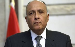 مصر تدعو العرب للتصدي لمساعي تصفية القضية الفلسطينية