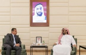 تفاصيل عرض قدمه طحنون لـ'تركيا' مقابل العفو عن دحلان