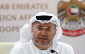 انور قرقاش: أزمة قطر مستمرة 
