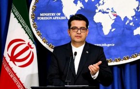 موسوي مخاطبا الفرنسيين: التدخل في شؤون ايران امر مرفوض