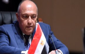 الخارجية المصرية: لا تستطيع دولة بمفردها مواجهة الإرهاب
