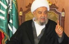 الشيخ قبلان يستنكر الغارات الإسرائيلية على سوريا وإنتهاكها الاجواء اللبنانية
