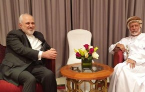 ظريف يلتقي بن علوي في مسقط