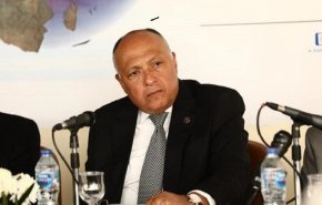 وزير الخارجية المصري يتحدث عن قوة مصر في المنطقة 
