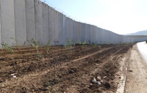 بالصور.. حملة تشجير قرب حدود لبنان مع الاراضي المحتلة