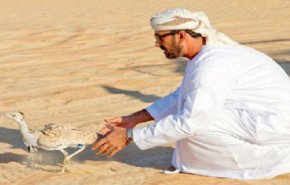 بن زايد في باكستان لصيد الطيور المحمية دوليا