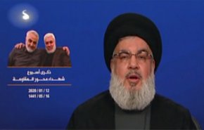 سيد المقاومة والرد الاستراتيجي