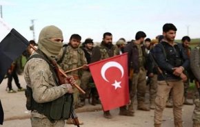 تركيا تعلق على منحها الجنسية لسوريين مقابل القتال في ليبيا