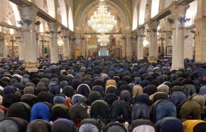 اصابات بمواجهات بين المصلين وقوات الاحتلال في باحات المسجد الأقصى
