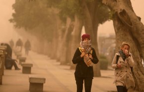 الكشف عن حقيقة تلف المحاصيل في مصر
