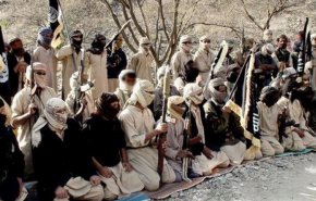 صحيفة يمنية: الإمارات أفرجت عن عناصر بالقاعدة في حضرموت