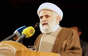 الشيخ نعيم قاسم يدعو الافرقاء لتشكيل الحكومة بعيدا عن الحصص
