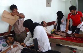  تشكيل لجنة لمواجهة حمى الضنك بمحافظة الحديدة اليمنية