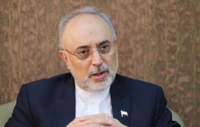 الخزانة الاميركية تحظر رئيس منظمة الطاقة الذرية الإيرانية