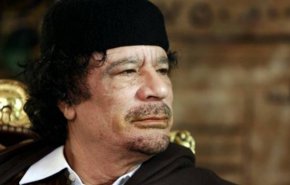بالفيديو: 