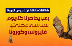 رعب يحاصرنا كل يوم بعد سماع كلمتين.. فايروس.. وكورونا