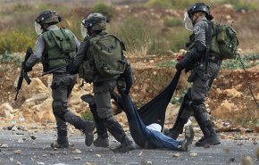 بلجيكا تُلغي دعوة ناشط حول جرائم الحرب إلى جلسة لمجلس الأمن الدولي