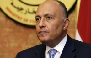 مصر تطلب دعم الدول العربية في أزمة سد النهضة