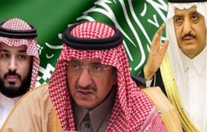 مجتهد يكشف عن سبب اعتقالات الامراء بالسعودية