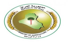 الزراعة العراقية تكشف عن خطة لتوفير المحاصيل بعد غلق الحدود
