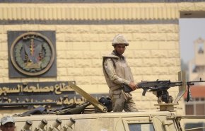 اخلاء سبيل 15 من أعضاء أحزاب سياسية في مصر