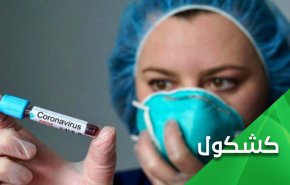 الکورونا بین خفافيش الصين وخفافیش امیرکا