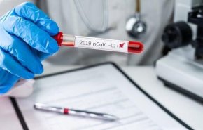تسجيل 12 وفاة و277 إصابة جديدة بكورونا في تركيا


