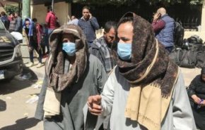 مصر توقف تصدير جميع أنواع البقوليات لمدة 3 أشهر بسبب كورونا