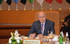 أبو الغيط يجدد دعوته لوقف القتال في ليبيا 