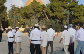 حماس: احتفال المستوطنين بـ 