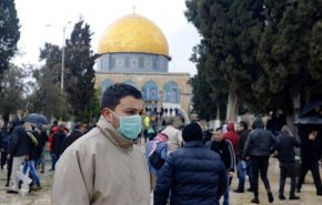 لا اصابات جديدة بكورونا في فلسطين المحتلة