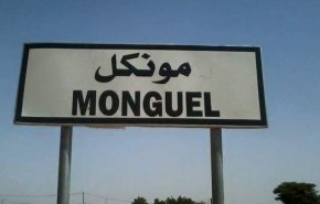 موريتانيا... انطلاق قافلة توزيع مساعدات غذائية 