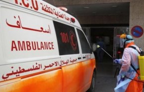 شفاء 48 حالة مصابة بكورونا في فلسطين 