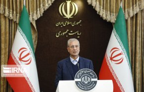 ربيعي : رفع القيود التي سببها كورونا يجري وفق رؤية علمية
