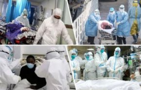  نيويورك تسجل 630 وفاة جديدة بفيروس كورونا 